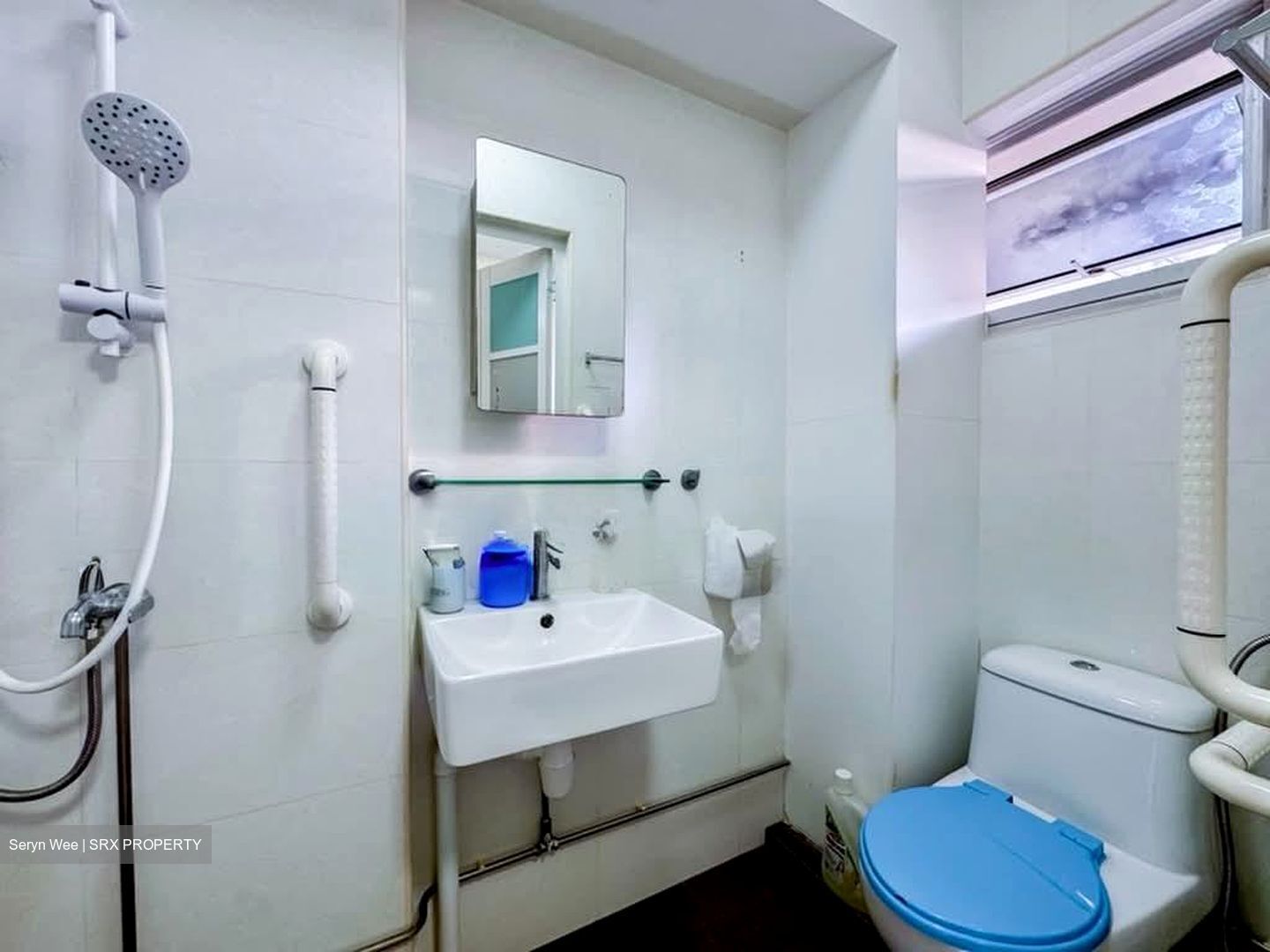 Blk 603 Elias View (Pasir Ris), HDB Executive #595823731